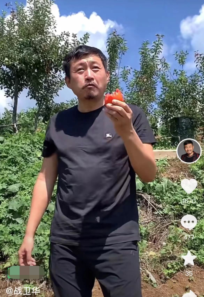 52岁亮剑戏骨战卫华在乡村干农活,头顶烈日摘农作物,晒到皱眉直接啃菜