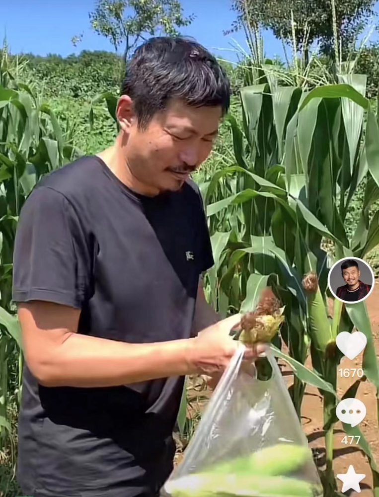 52岁亮剑戏骨战卫华在乡村干农活,头顶烈日摘农作物,晒到皱眉直接啃菜