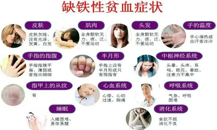 缺铁的表现 腾讯网