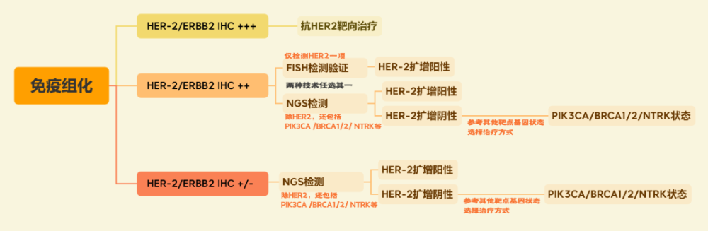 一文了解乳腺癌基因检测技术与靶向治疗数据