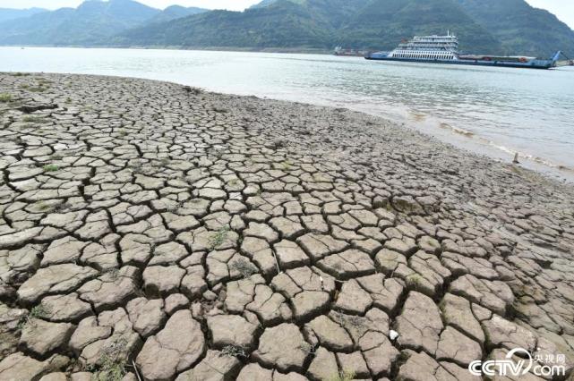 高温极端天气持续,致使重庆31个区县遭受干旱灾害,累计受灾人口已超60