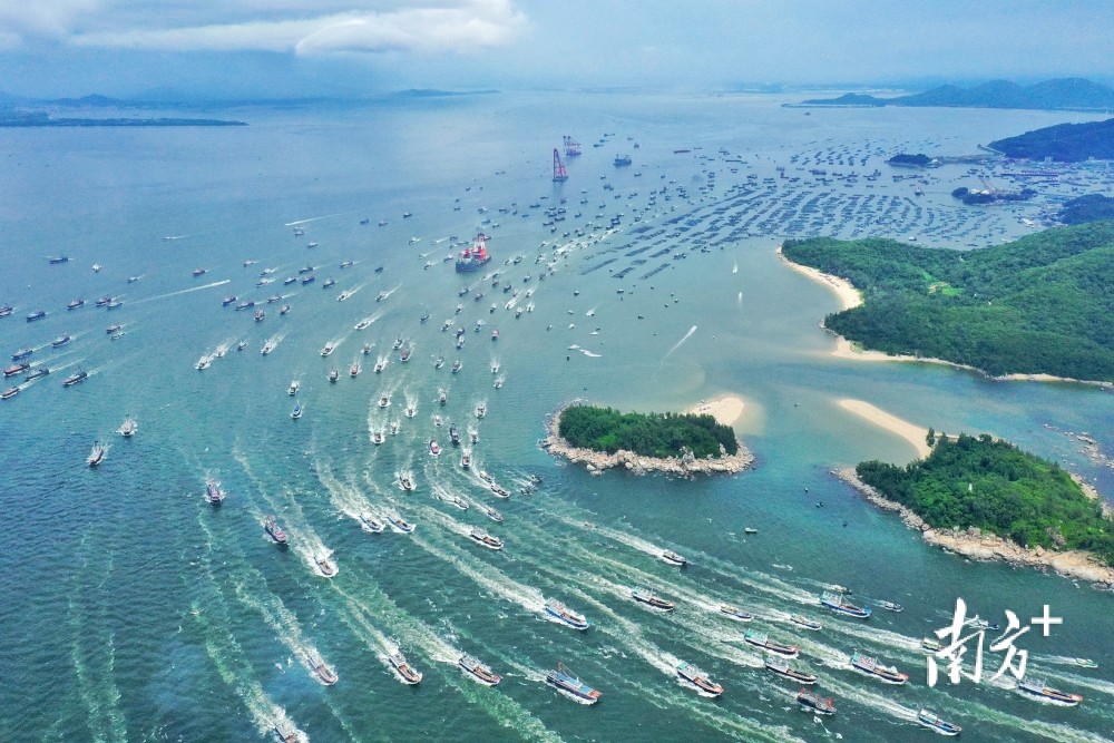 千帆竞发,耕海牧渔,第二十届南海(阳江)开渔节在海陵岛举行