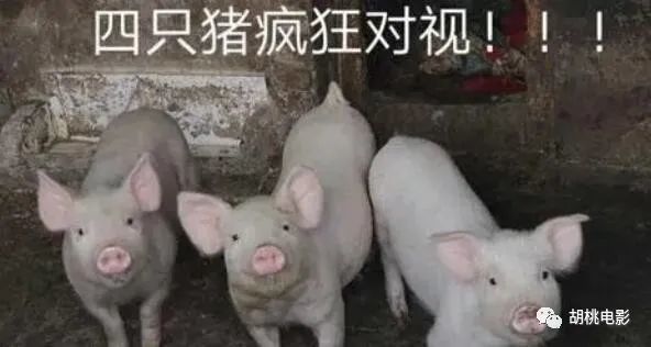 641