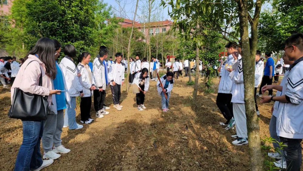 參加植樹活動7月27日至8月2日,貴州省教育廳《關於省級勞動教育示範縣