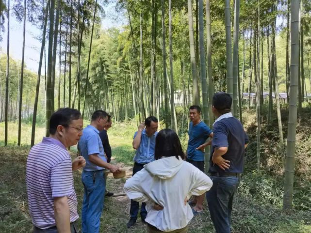 乡村振兴调研内容_乡村振兴人民法庭法院调研_山东省行政学院