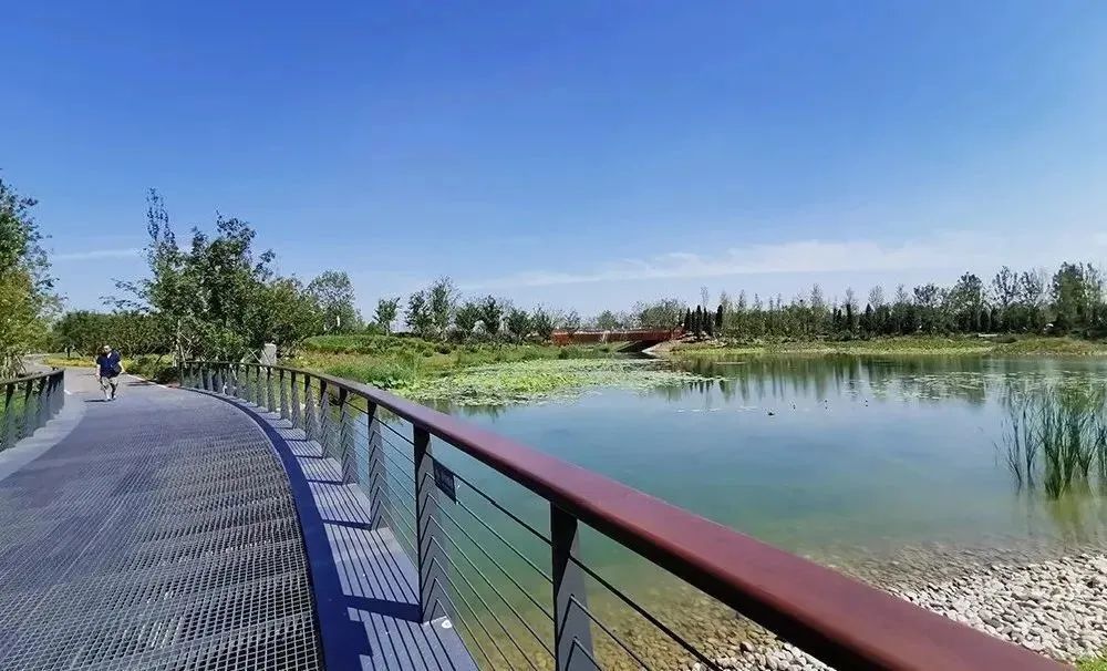 温榆河公园朝阳段一期图片