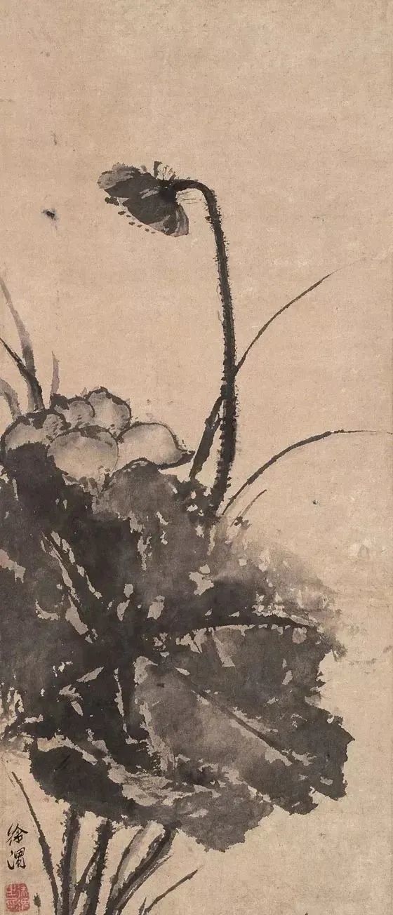 徐渭的诗情画意,别有天地非人间!