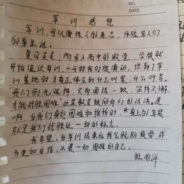 實驗中學高一新生軍訓心得體會軍訓過程中,有歡聲笑語,也有汗水和煎熬