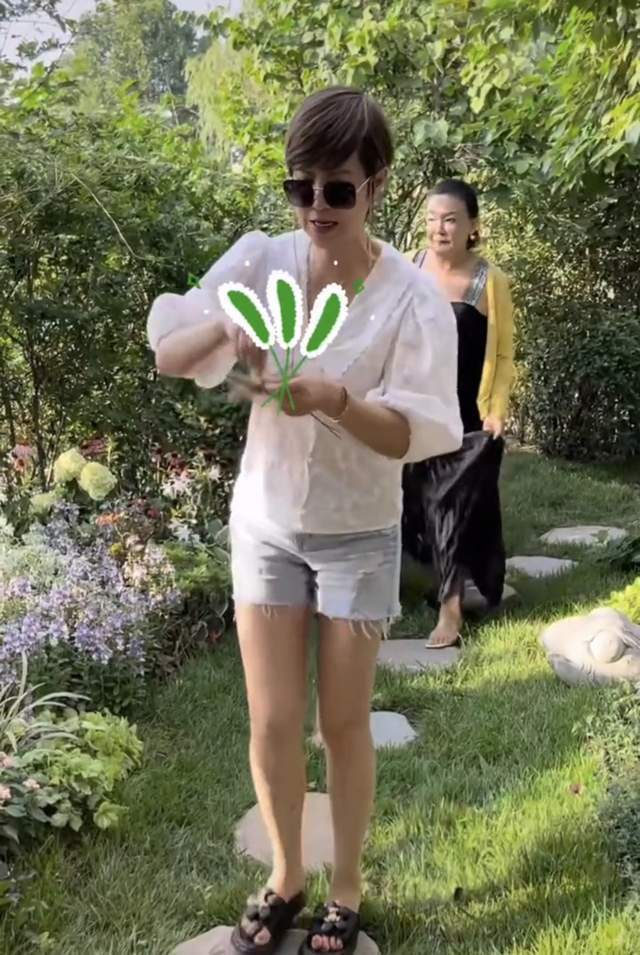 56岁杭天琪晒豪宅外景院子里种满果树与花草夸赞张兰是励志姐