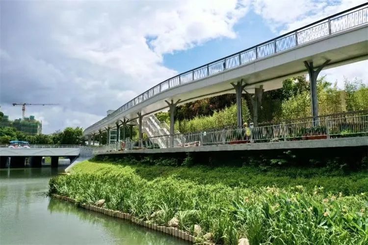 水质清澈如今的新洲河变化之大让人赞叹"我在新洲河边上住了好些年