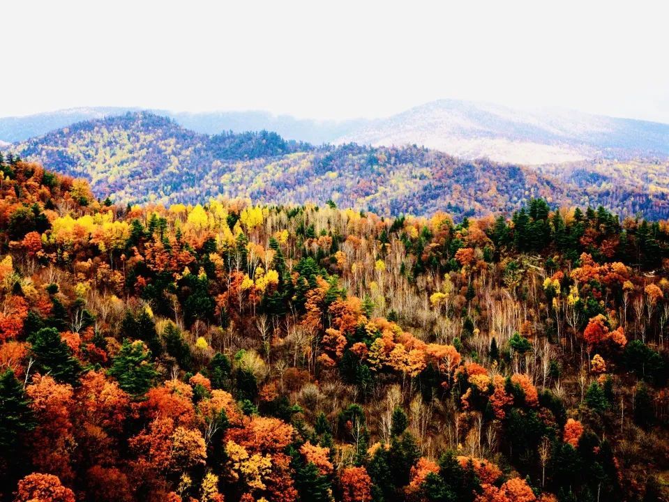 林都伊春宝藏旅行地 夏末秋初玩个痛快!_腾讯新闻