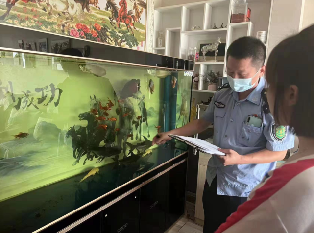 国家一级水生野生保护动物长丝鱼芒被成功救助|水生|大连金普新区