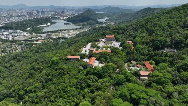 深圳文脉影像志│凤岩古庙大山的灵魂