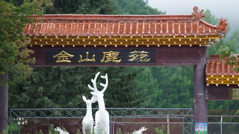 伊春金山鹿苑门票图片