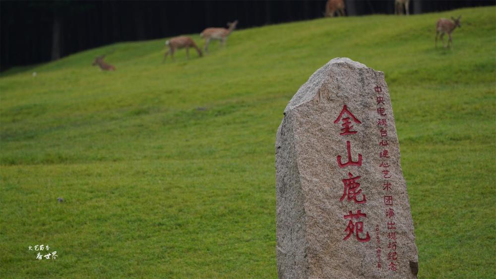 伊春金山鹿苑介绍图片