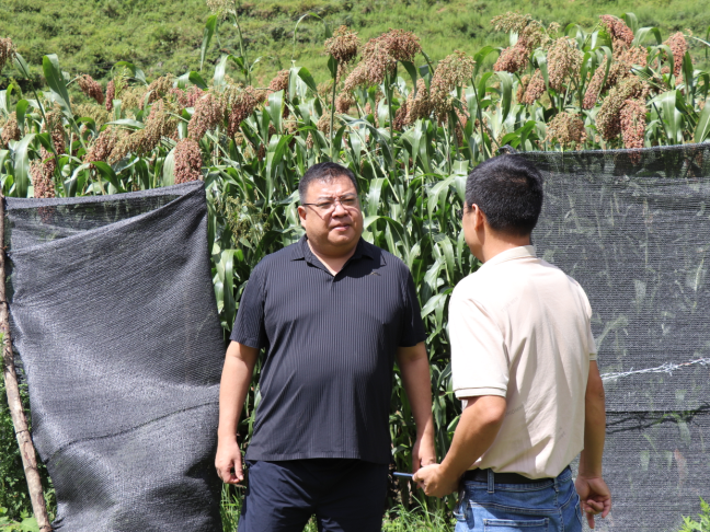 文晓波强调,架车乡要充分发挥自然资源优势,因地制