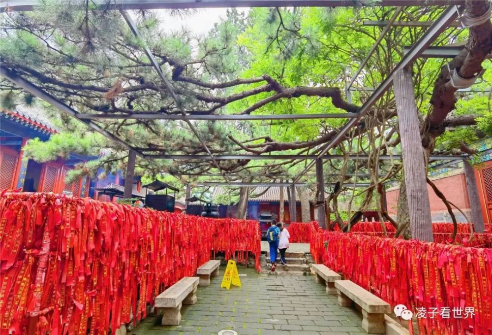 俄羅斯新增4774例新冠肺炎確診病例累計62773例上海國航船務