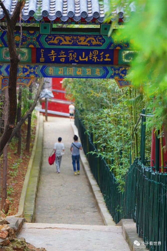 俄羅斯新增4774例新冠肺炎確診病例累計62773例上海國航船務