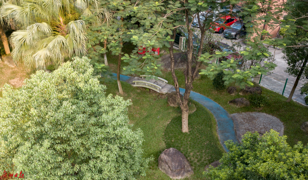 家门口的口袋公园金峰园口袋公园寓教于乐弘扬诚信