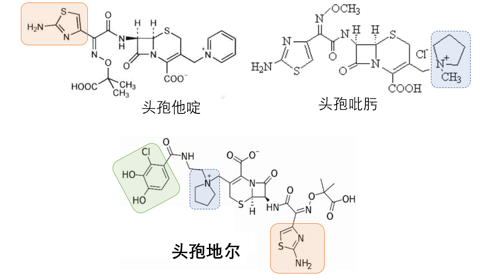 關於銅綠假單胞菌的抗菌藥物,至少需要知道這6點!_騰訊新聞