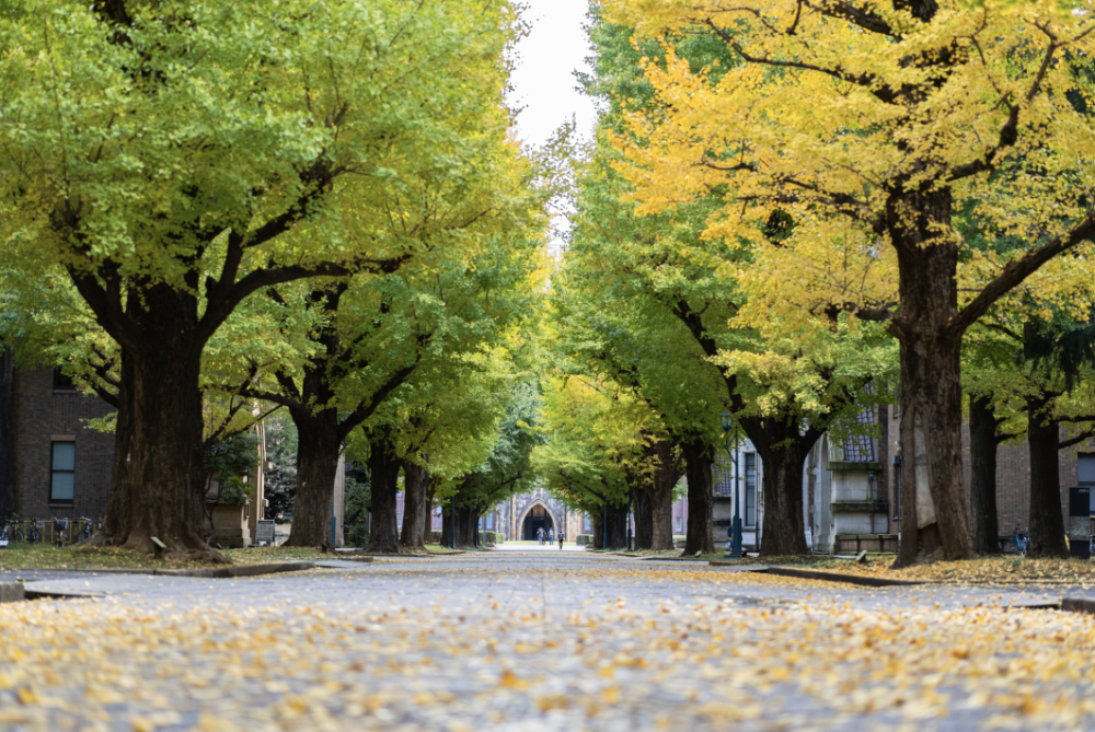 日本“帝国大学”是什么？有多牛？_腾讯新闻