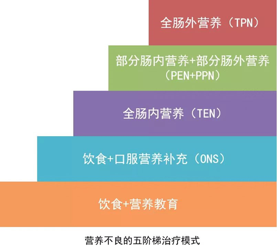 胃肠道肿瘤营养不良率超40,试试这个营养治疗方案!