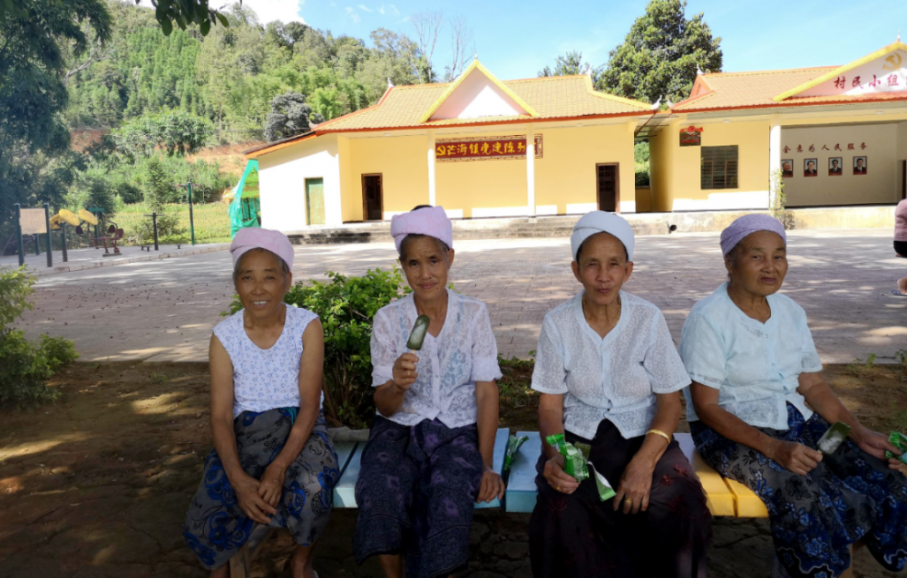 芒海镇赖南村赖南一组共有47户(其中40户傣族,7户景颇族)227人,党员19