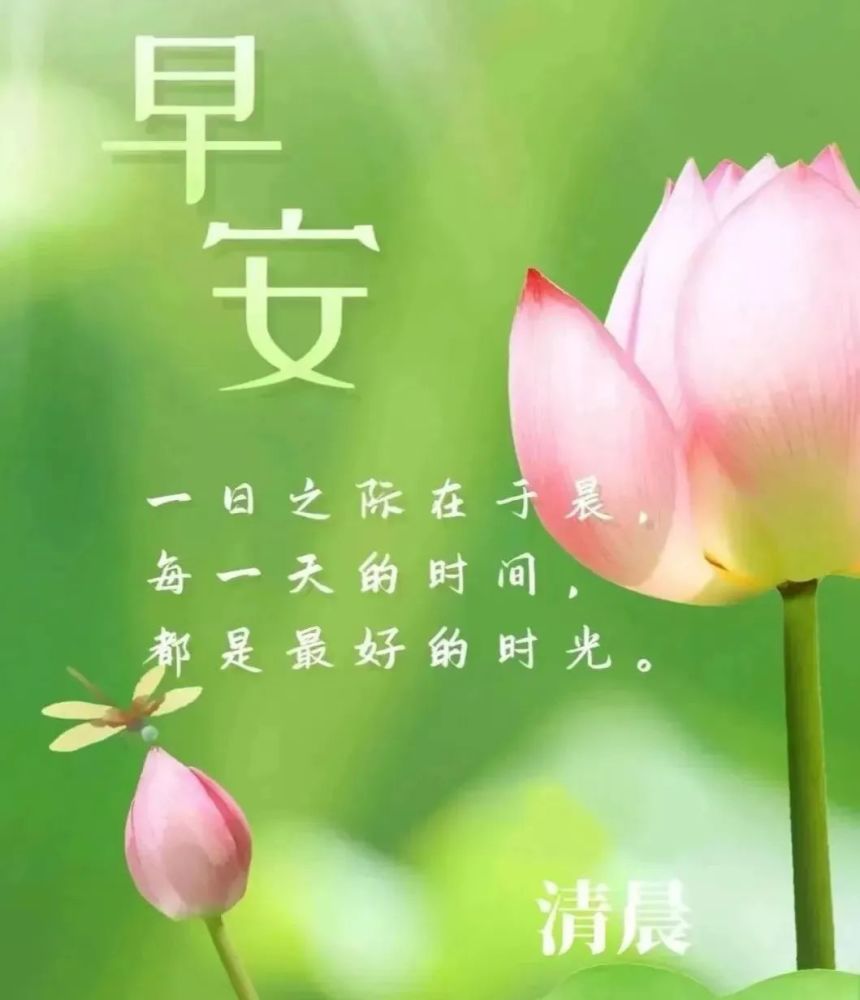 8张创意唯美亲人朋友早上好祝福语图片大全免打字 秋日清晨友谊早安