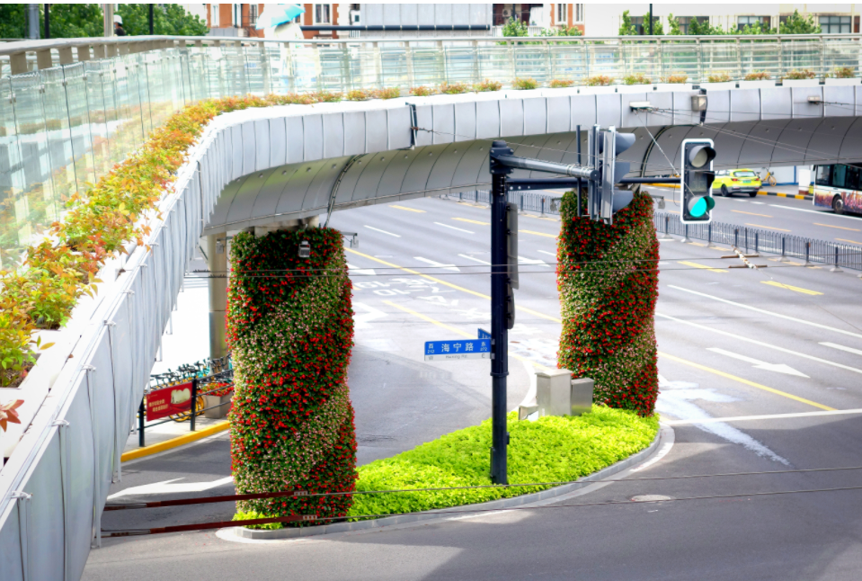 这些马路上的立体绿化你发现了吗?_腾讯新闻