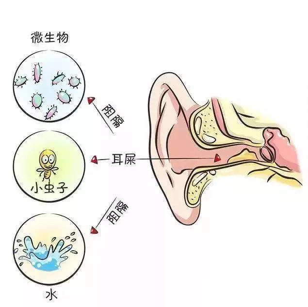 涼山耳鼻喉醫院教你從耳屎顏色判斷耳朵健康—附8月華西專家會診時間