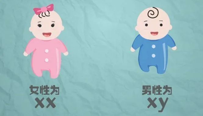 性别来规避遗传疾病的,但如果单纯为了生男生女生双胞胎是不合法的,这