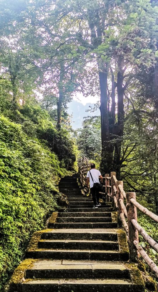 全域都是景 四季皆可游 峨眉山总能给人意想不到的斑斓_腾讯新闻