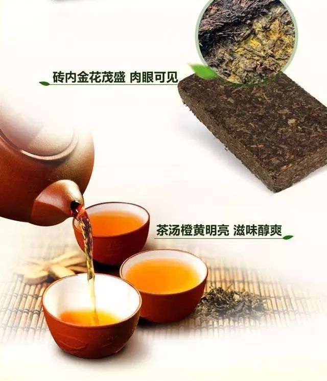 黑茶中茯砖茶的金花益生菌