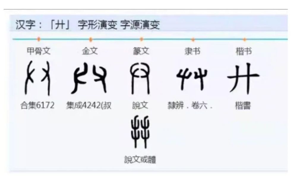 當代學界都以為卜字其始於甲骨文,歸為獨體象形字.