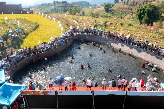 向家坝镇举办2022年农民丰收节活动