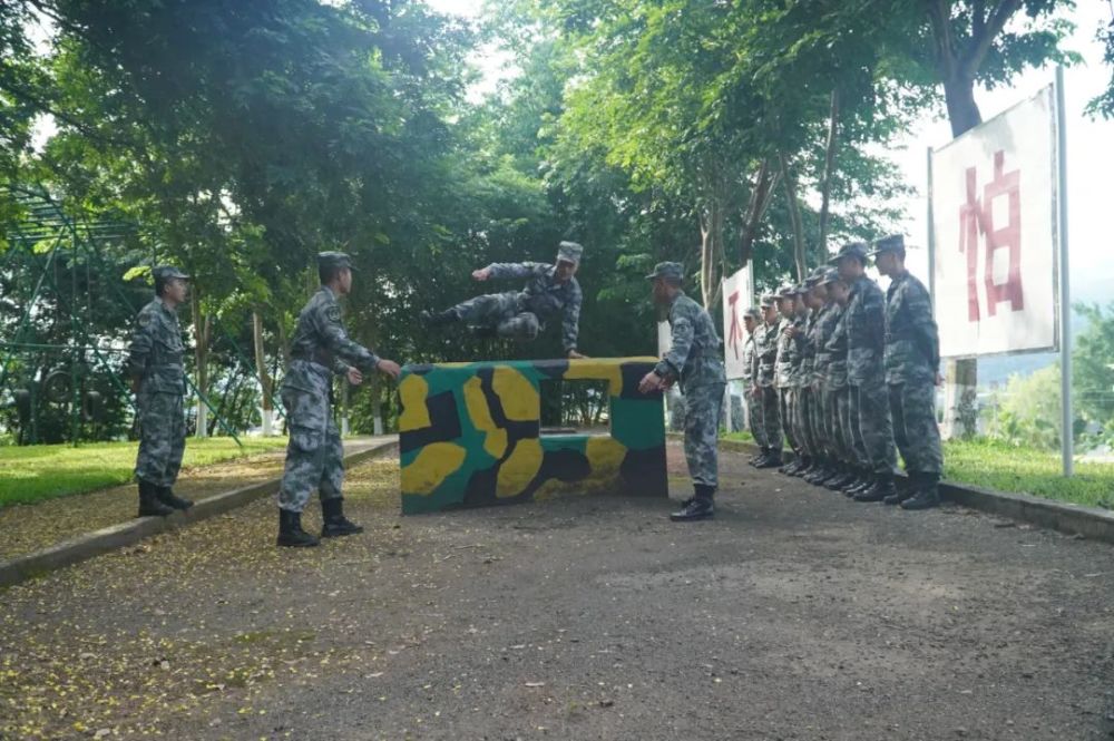 哨位上收到录取通知书！这位兵哥哥喜圆军校梦……拿着胡萝卜的兔子简笔画2023已更新(微博/腾讯)