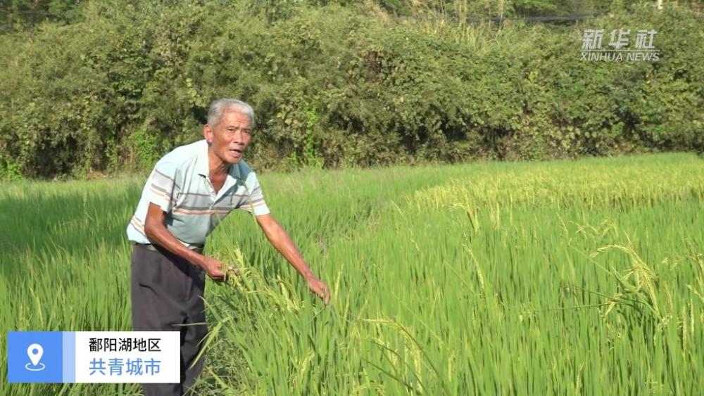 澎湃思想周报｜美国学生贷款陷入僵局；印巴分治75年深圳市长覃伟中2023已更新(网易/头条)