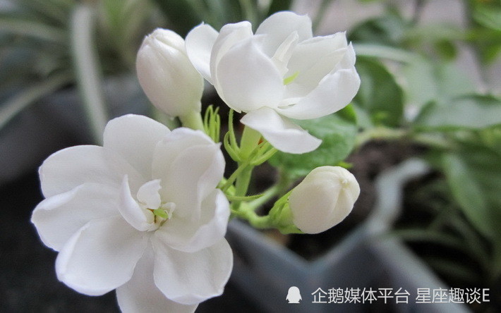 8月22日 28日星座运势 集思广益 目光长远的四大星座 腾讯新闻