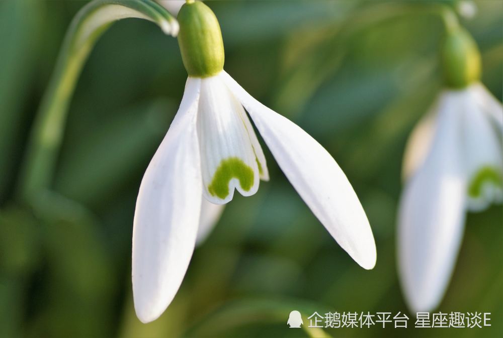 8月22日 28日星座运势 集思广益 目光长远的四大星座 腾讯新闻