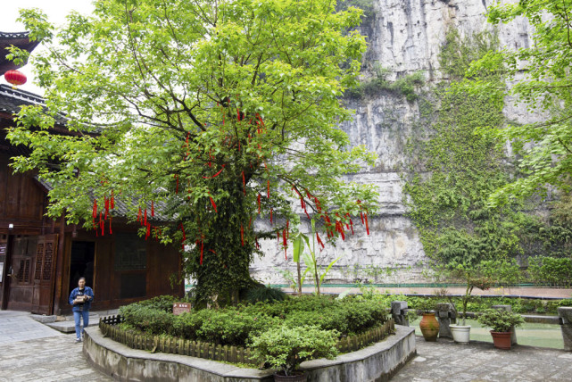 重沐巴楚遗风,品味土家文化,三峡地区最具魅力的民俗风情园_腾讯新闻