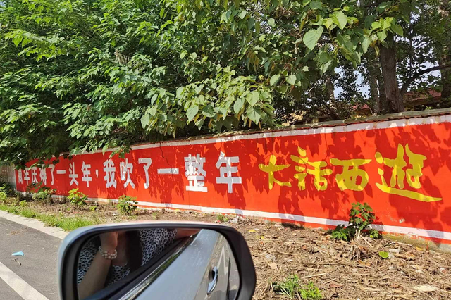 大話西游2：這只200級的精衛全服第一，八個技能太絕了文化娛樂資訊