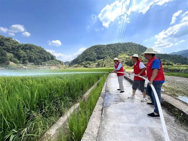 灌溉用水,減少群眾損失;農技人員,黨員深入田間地頭開展抗旱技術指導