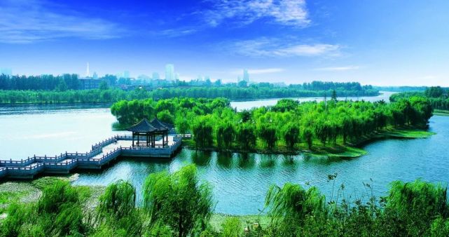 "酒都宿迁"酒香浓,麻雀都能喝三两-中酒网