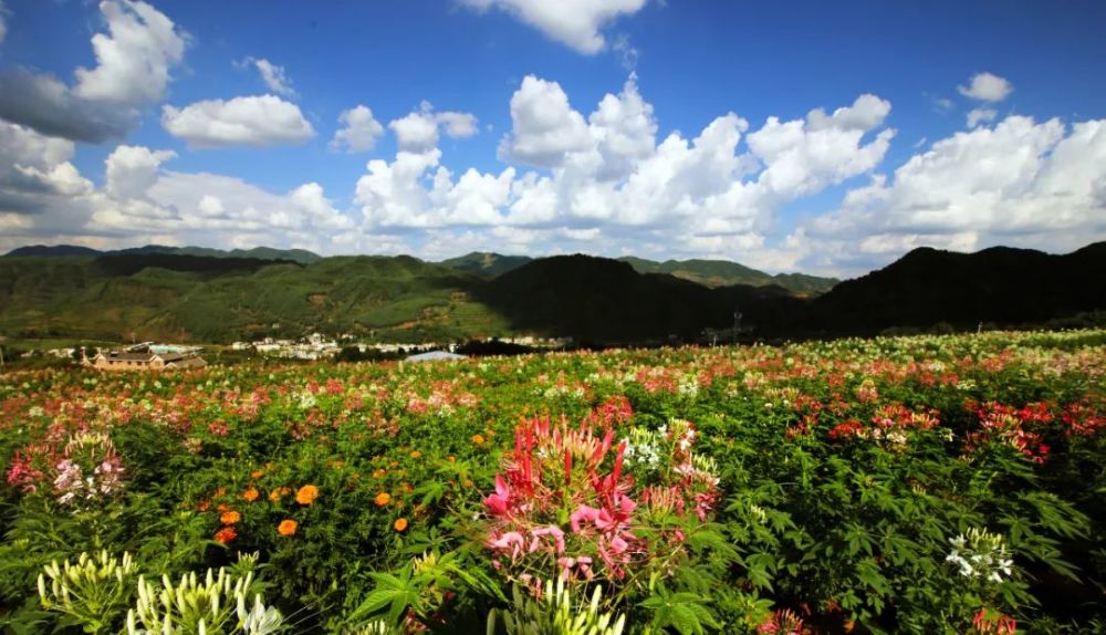 鲁甸水磨景色醉人