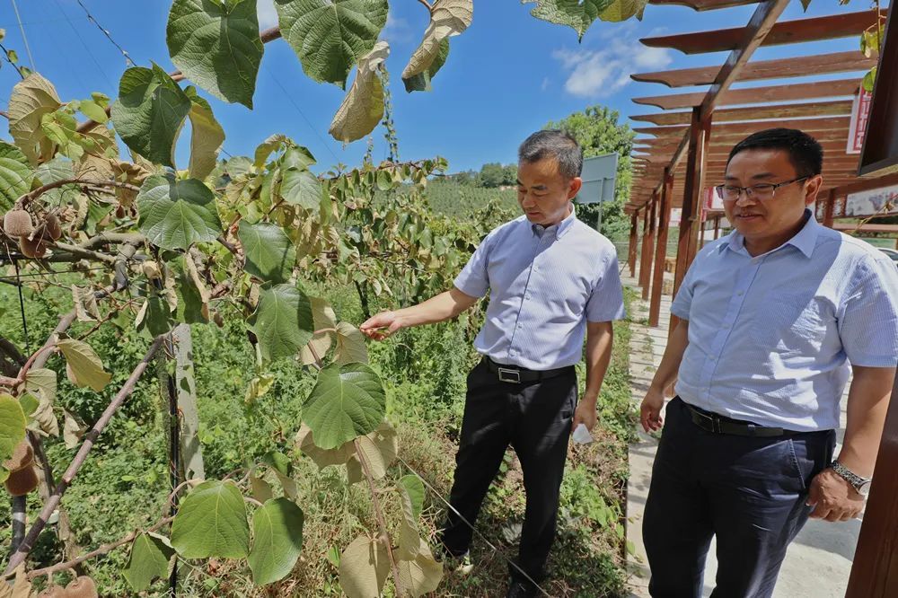 息烽县何明图片