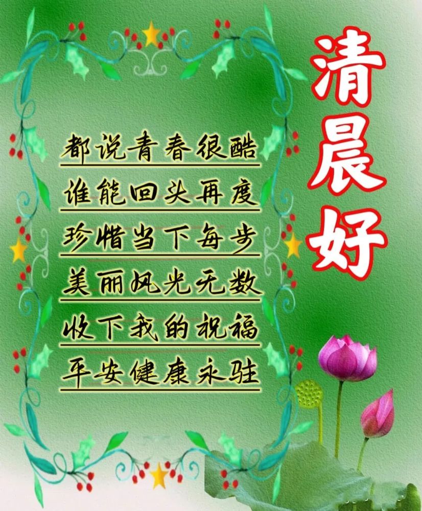 朋友早上好最新唯美表情包好看的早上好祝福語表情圖片帶字