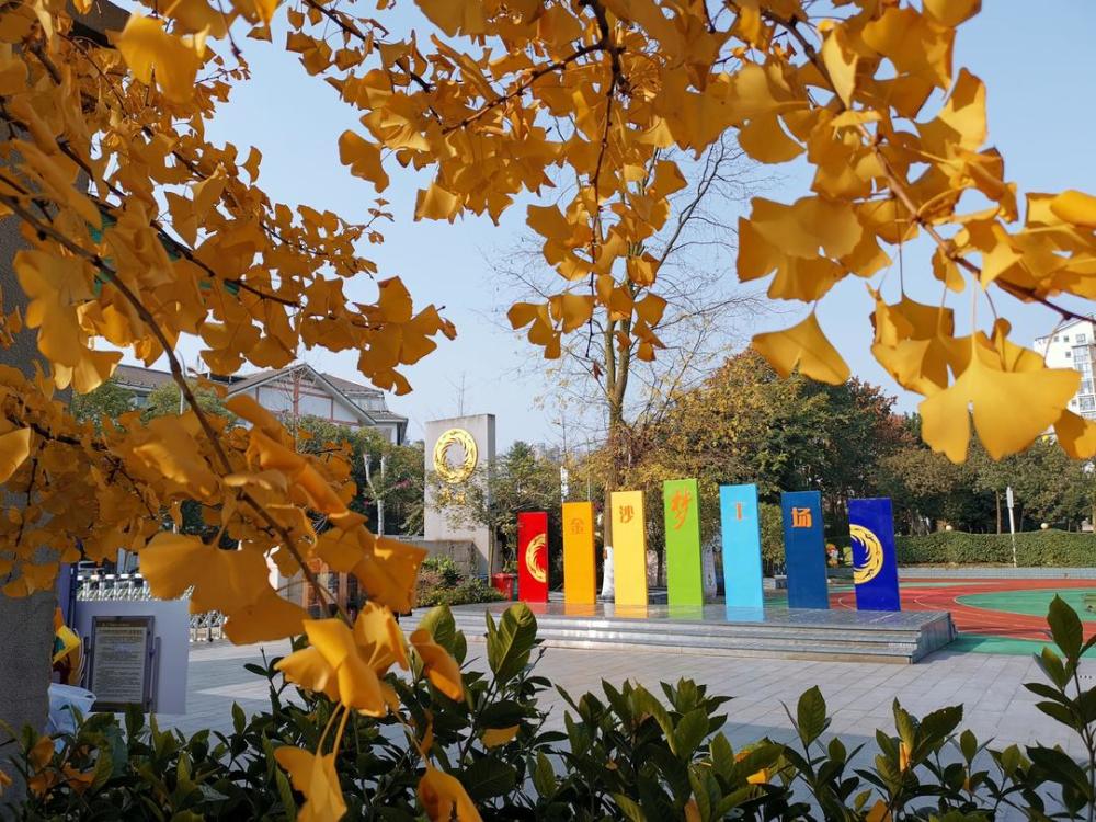 成都市金沙小学校长钟樱从教育的有缘人到追梦人校长来了