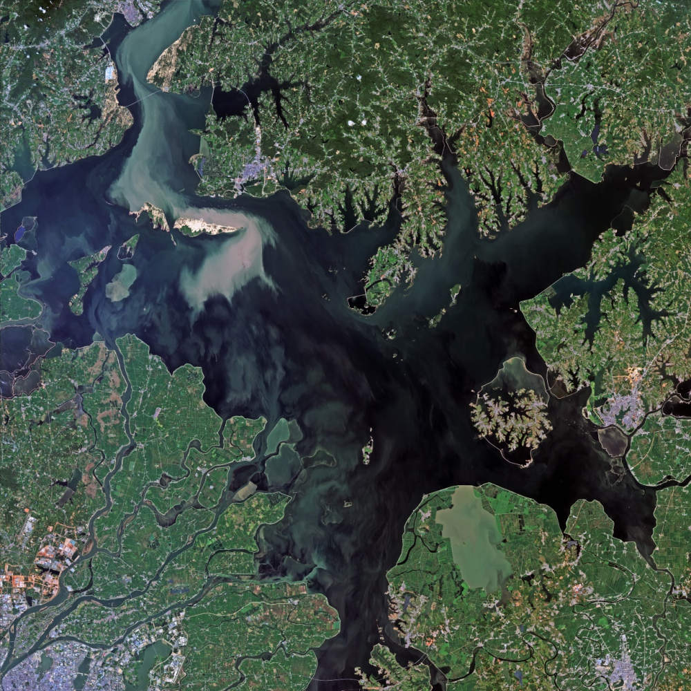 独家卫星影像!南方持续高温,鄱阳湖现大地之树景观