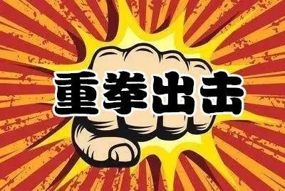 重拳出击!寻乌公安"百日行动"再添战果