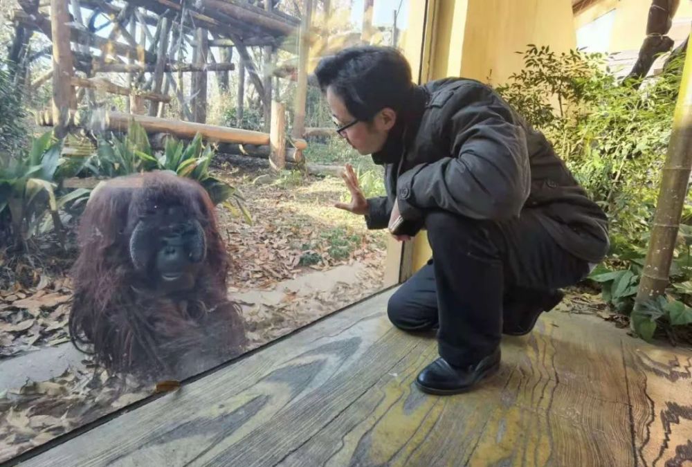 撸大猫的网红动物园园长被判了